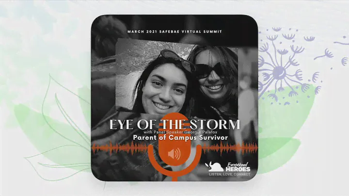 Eye Of the Storm:  A Parents Journey of a Sexual Assault Survivor